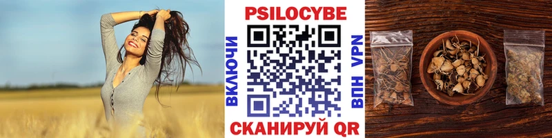 Галлюциногенные грибы мицелий  hydra зеркало  Алапаевск 