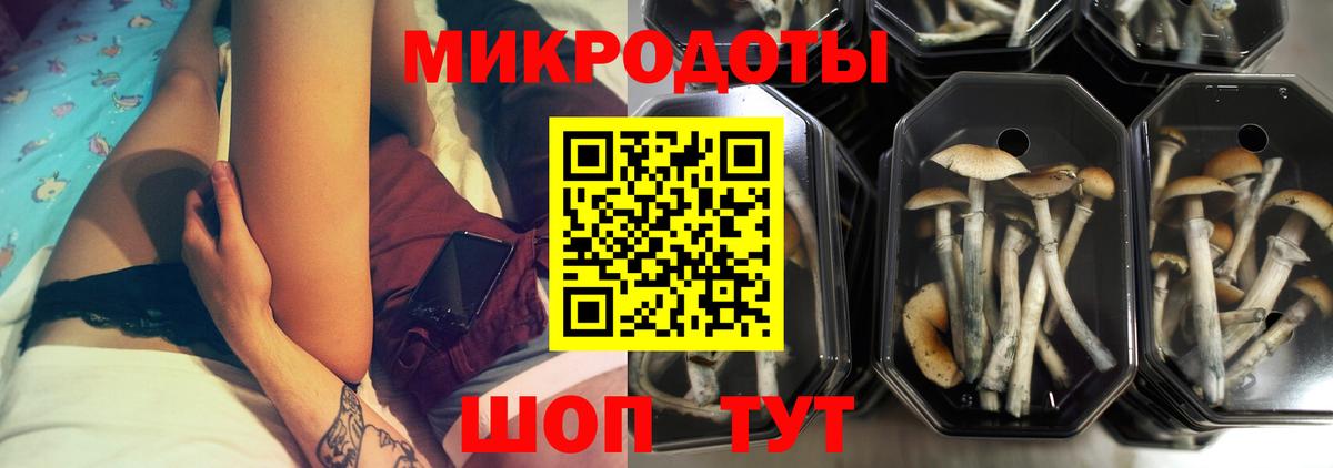 Галлюциногенные грибы MAGIC MUSHROOMS Алапаевск